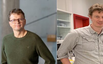 Hvordan oppstår kreft i bukspyttkjertelen?